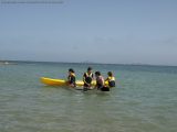 My Gallery (49/205)
